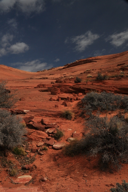 The Hanging Garden Trail